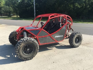 rzr buggy for sale